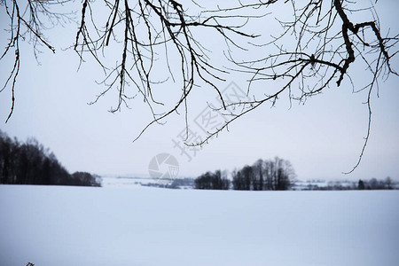 田地和道路的冬季风景和图片
