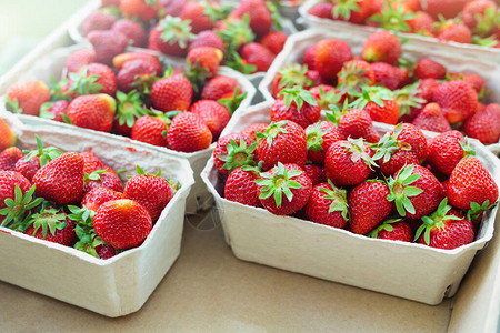 红熟汁新鲜有机草莓包装在纸箱中图片