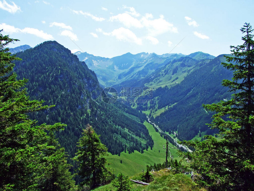 Saminatal高山谷和列支敦士登阿尔卑斯山峰的景色Steg图片
