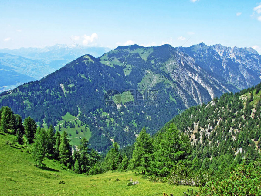 Saminatal阿尔卑斯山谷和列支敦士登山上的陡峭山峰脉Steg图片