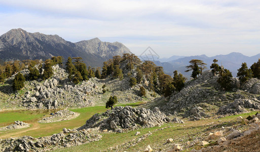 阳光明媚的风景与山中的岩石草甸通往TahtaliDagi山的道路图片