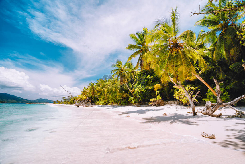 度假期背景异国壁纸天堂海滩日落白沙棕榈图片