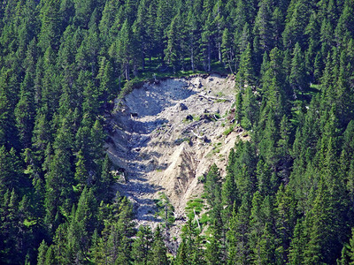 列支敦士登阿尔卑斯山陡峭的高山森林中的滑坡和水土流失Steg背景图片