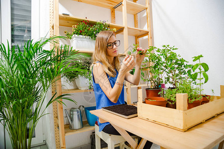 女孩照顾家庭种植图片