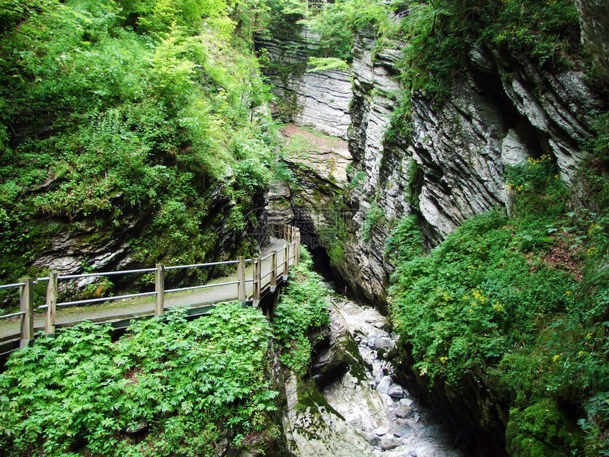 瑞士下瓦瑟圣加仑州上托根堡地区瑟尔河上的瑟尔瀑布或瑟尔瓦瑟夫勒或瑟尔法勒或瑟尔法的图片