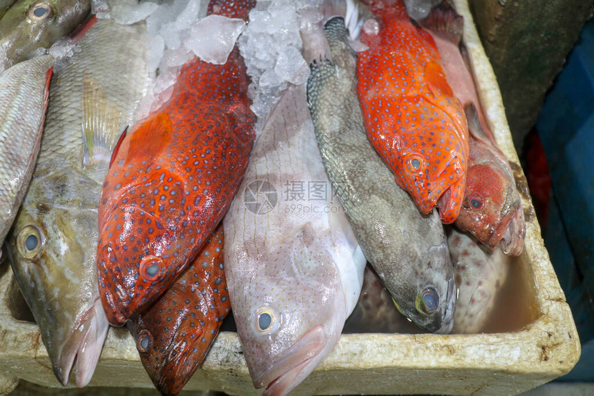 在鱼市的冰上新鲜的海鲜在金巴兰鱼市出售的鲜鱼传统的当地PasarIkanKedonganan巴厘岛金巴兰鱼市图片