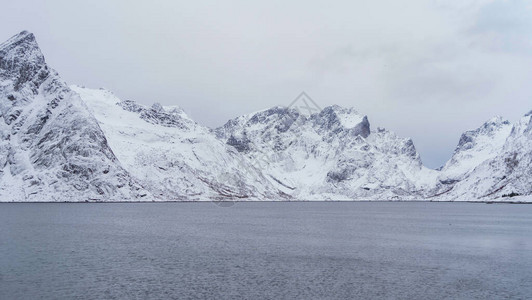 白色雪山丘陵和树木图片