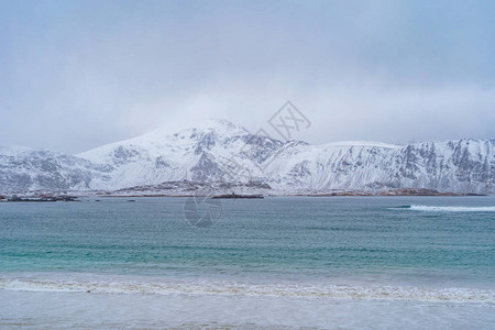 白色雪山丘陵和树木图片