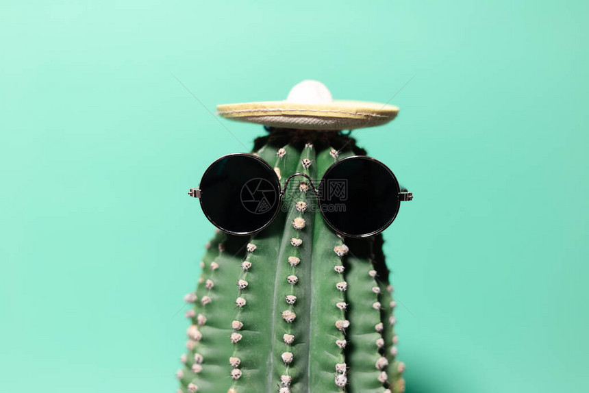 绿色仙人掌与墨西哥帽子和墨镜的近距离肖像图片