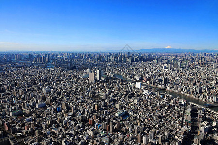 从东京晴空塔眺望东京市中心和富士山图片