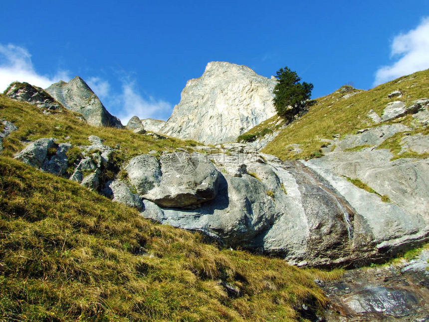 美丽的季节瀑布下的高山岩石Falknisturm在Ratikon边境山区或Grenzmassiv图片