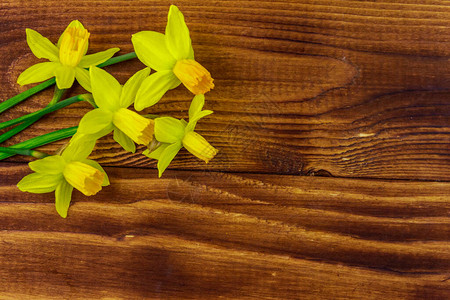 木制背景上的黄色水仙花情人节妇女节和的贺卡顶视图片