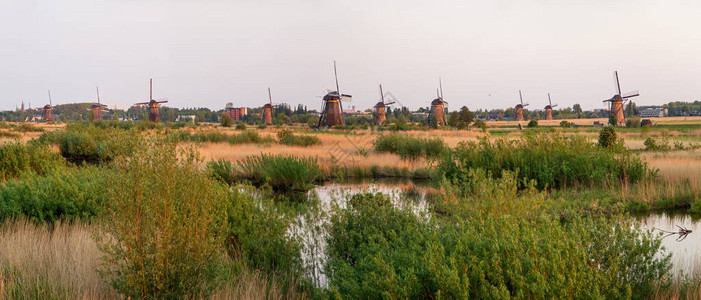 Dutch风车的美丽全景图像图片