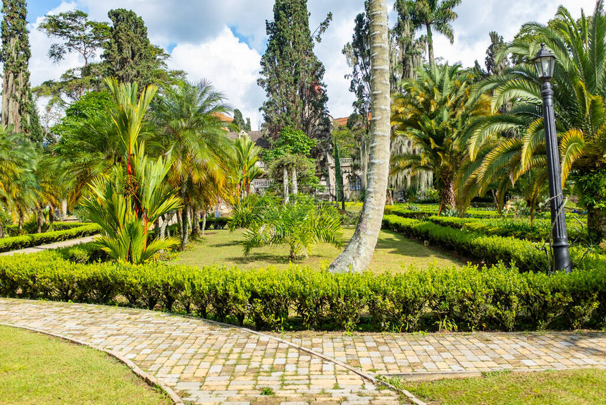 哥伦比亚麦德林波布拉多邻里区ElCastillo城堡花园的树木植物图片