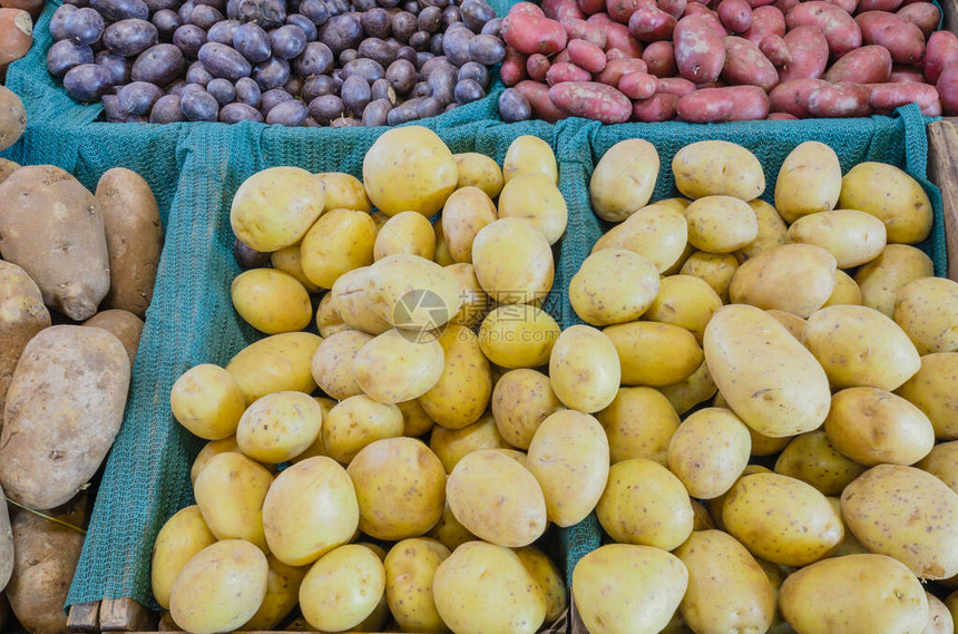 在美国华盛顿Puyallup农民市场收集的土豆顶层多彩色收藏图片