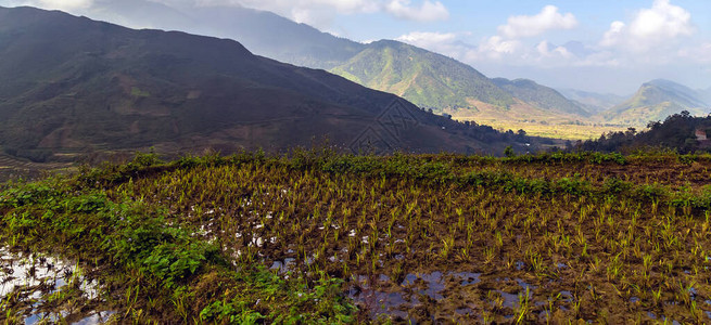 连绵起伏的乡村稻田全景连绵起伏的丘陵景观图片