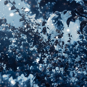 蓝色花背景盛开的树和鲜花图片