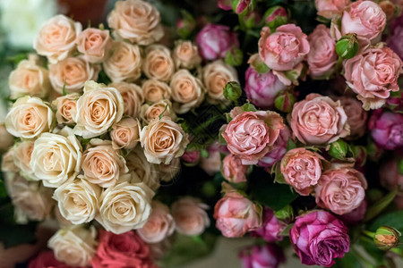 花朵美丽的玫瑰花束图片