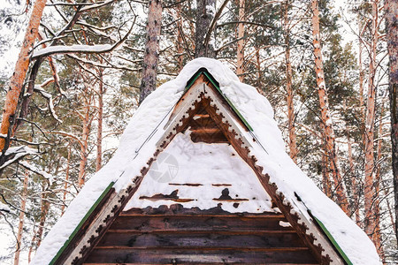 冬季森林木屋顶积雪降雪和寒图片