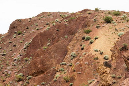 峡谷的红色沙质斜坡干旱和全球变暖后腐蚀土图片