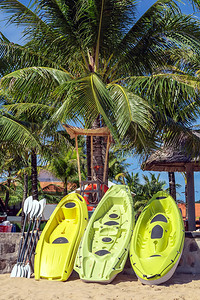 棕榈滩皮艇或独木舟俱乐部热带暑假全景图片