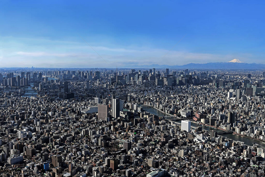 从东京晴空塔眺望东京市中心和富士山图片