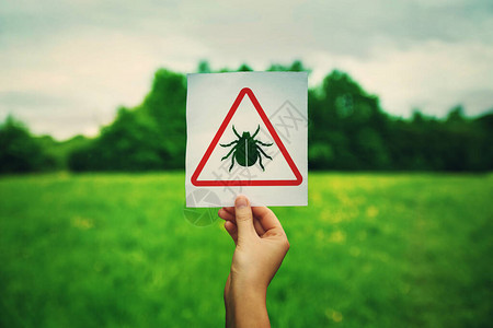 手拿着在公园绿色草坪背景上的蜱寄生虫危险警告标志不同的虫咬健康风险导致感染莱姆病并背景图片