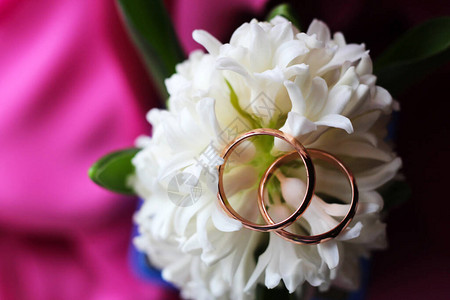 两只结婚戒指和一朵白色的青图片