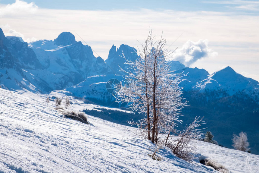 意大利多洛米蒂山滑雪区阳光明媚的冬季景观AlpeLusiaMoena附近valdiFassa图片
