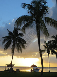 热带海日落与棕榈和沙滩伞剪影图片