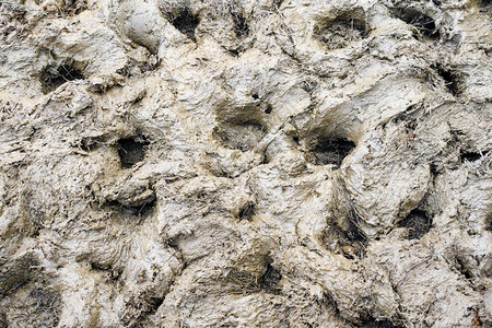 英国下雨后的泥浆纹理背景图片