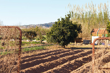 Llobregat农业园区工作图片
