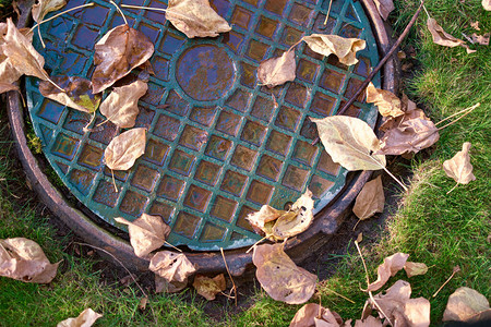 草地上生锈的井盖干枯的落叶背景图片