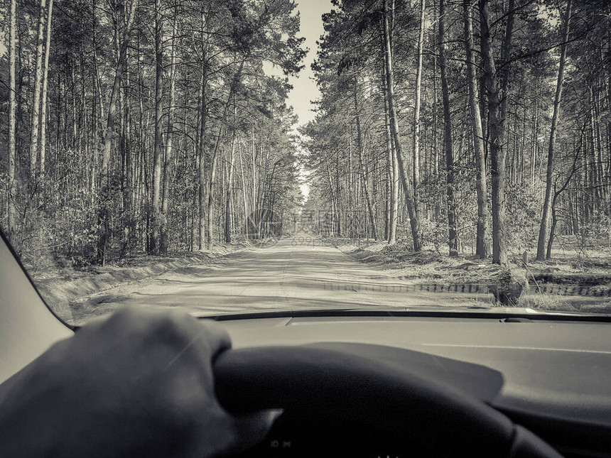 美丽森林道路的图片