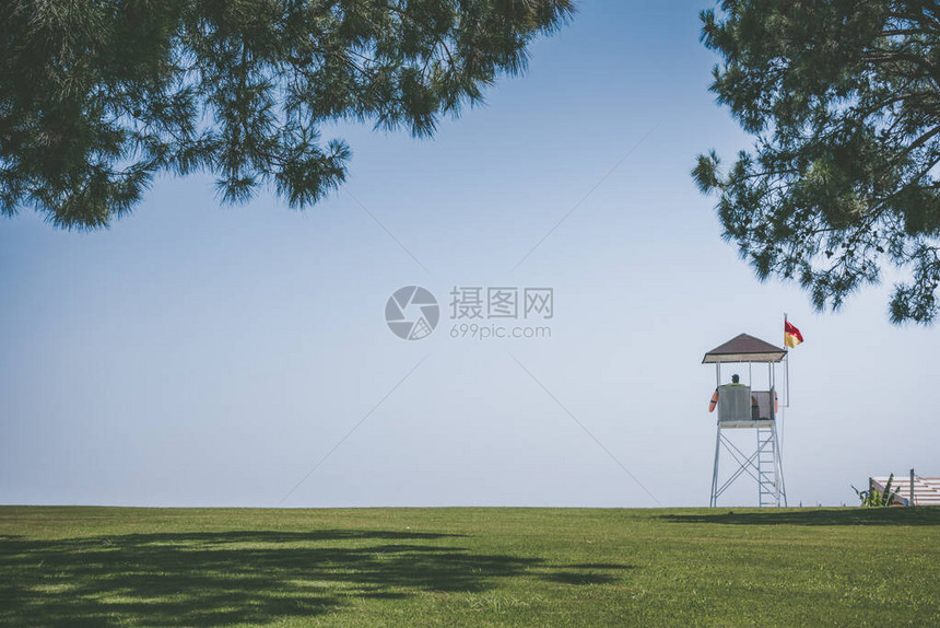 海滨度假胜地的绿色草坪图片