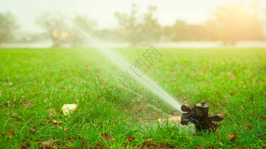 自动草坪洒水器浇灌绿草图片