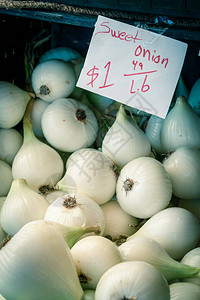 在美国华盛顿的农民市场摊位上展示新鲜的甜洋葱图片