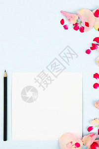 花与纸卡笔记隔离在白色背景创意布局图片