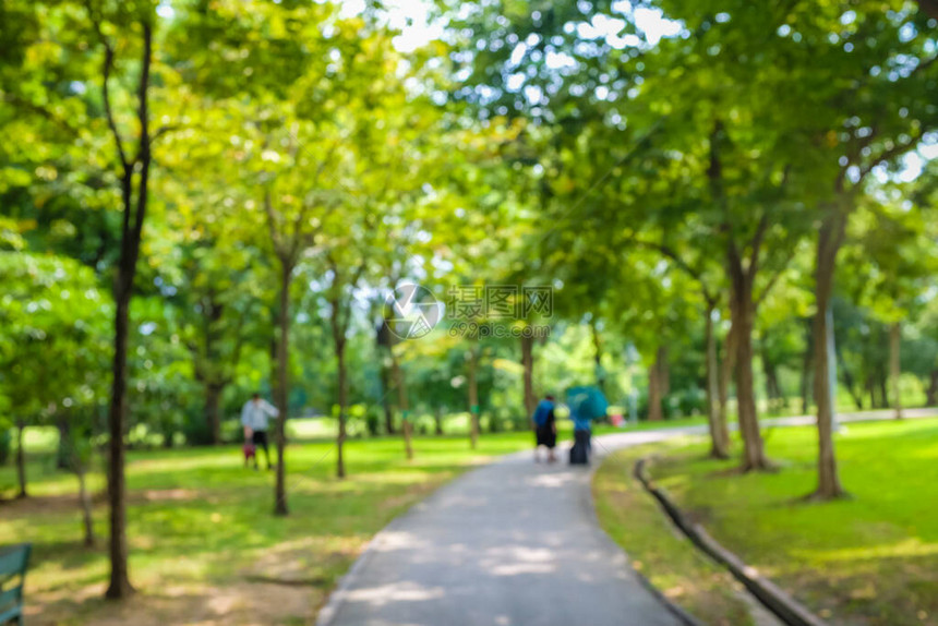 绿色城市公园有步行的图片