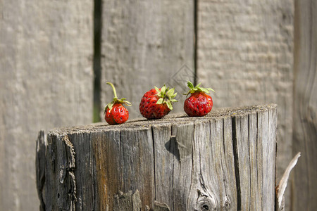 概念红草莓贝利在旧木柱上关闭一图片