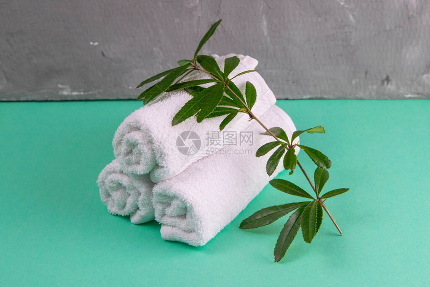 绿色背景的三条毛巾和绿色分支温泉疗养的概图片