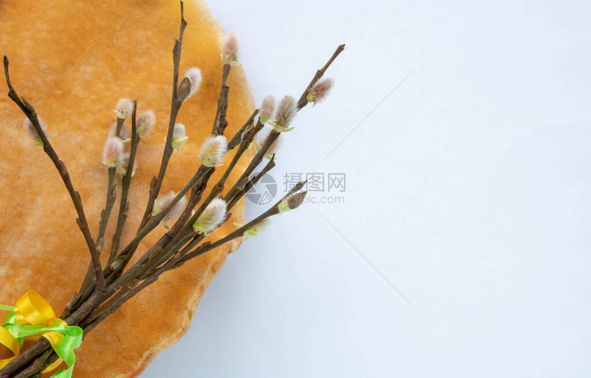 一束柳树枝和白桦茸蘑菇躺在白色的背景上孤立在白色背景上的柳树枝柳海豹图片