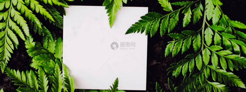 绿草背景空白卡品牌设计图片