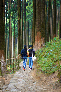 印度大吉林州拉马哈塔Lamahata的年轻夫妇带着背包在森林中行走图片