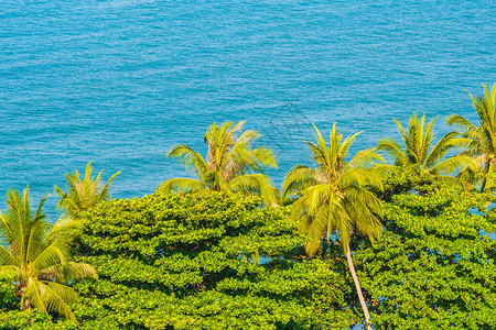 椰子棕榈树周围海滩滨湾的美丽热带质图片