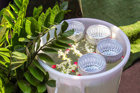Jasmines和玫瑰花瓣漂浮在大白塑料桶里图片