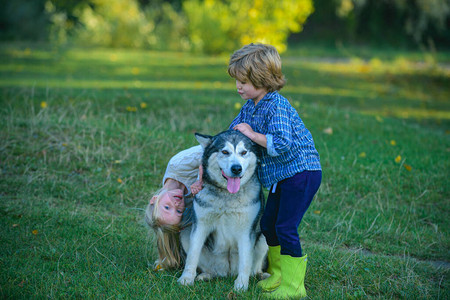 有趣的儿童兄弟姐妹和狗一起在公园里两个孩子带着狗宠物在大自然中图片