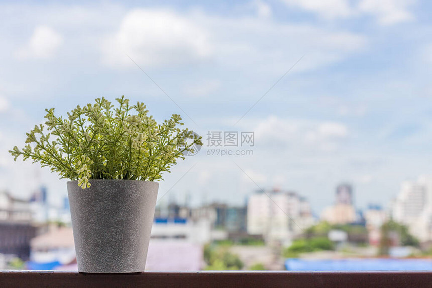 城市景观背景模糊的小花盆图片