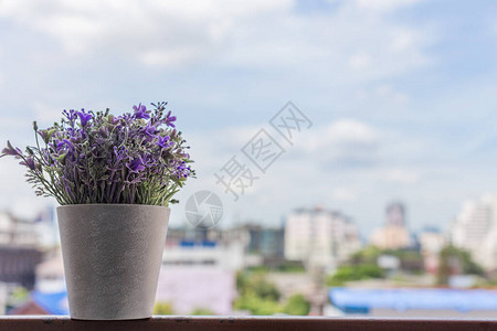 城市景观背景模糊的小花盆图片