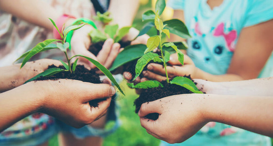 儿童在自己的手中种植物有选择的背景图片